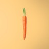 Carrot