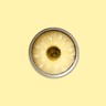 Pineapple Rings