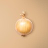 Spanish Onion