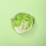 Iceberg Lettuce