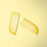 Gouda