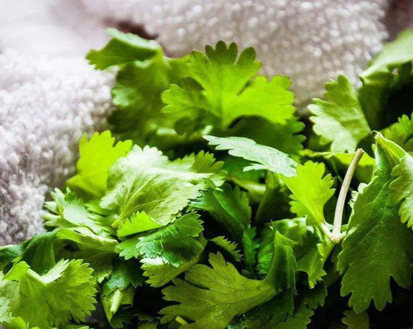 step 1 Combine Brown Rice (1 cup) with two cups water, bring to a boil and let simmer for forty five minutes or until tender. Once tender, add Pink Himalayan Sea Salt (1/2 tsp) and Fresh Cilantro (4 Tbsp).